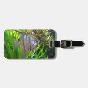 Étiquette À Bagage Poisson ange
