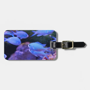 Étiquette À Bagage Poisson bleu tropical