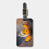 Étiquette À Bagage Poisson de récif tropical - Poisson clown (Devant Vertical)