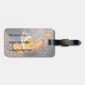 Étiquette À Bagage Poisson de récif tropical - Poisson clown (Dos horizontal)