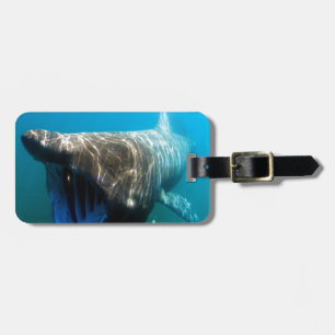 Étiquette À Bagage Poisson de requin Océan tropical Destin Cadeaux