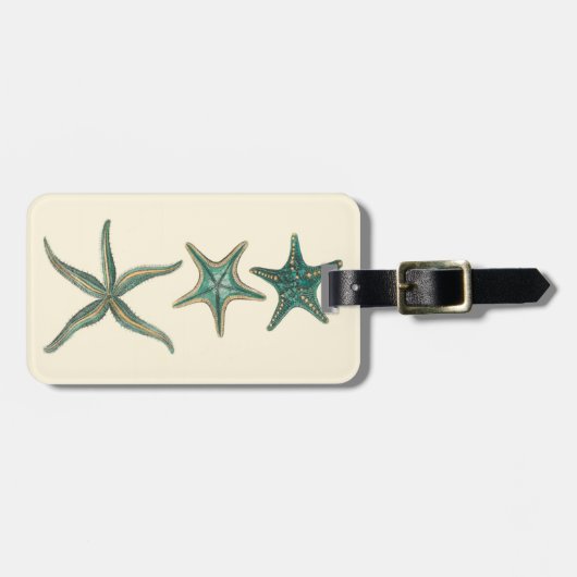 Étiquette À Bagage Poisson triplé aquamarine (Devant horizontal)