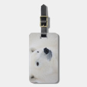 Étiquette À Bagage Polar Churchill (Devant Vertical)