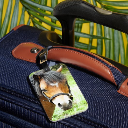 ÉTIQUETTE À BAGAGE PONY BROWN (Insitu Rectoal 1)