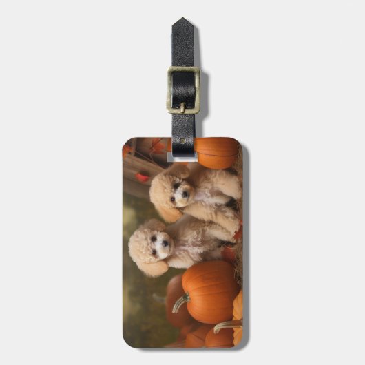 Étiquette À Bagage Poodle Chiot Automne Citrouille délice (Devant Vertical)