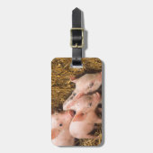 Étiquette À Bagage Porcelets (Devant Vertical)