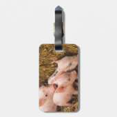 Étiquette À Bagage Porcelets (Dos Vertical)