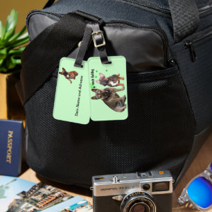 Étiquette À Bagage Porte-bagages Bouledogues Français