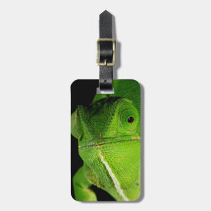 Étiquette À Bagage Portrait de Caméléon à Coupoir