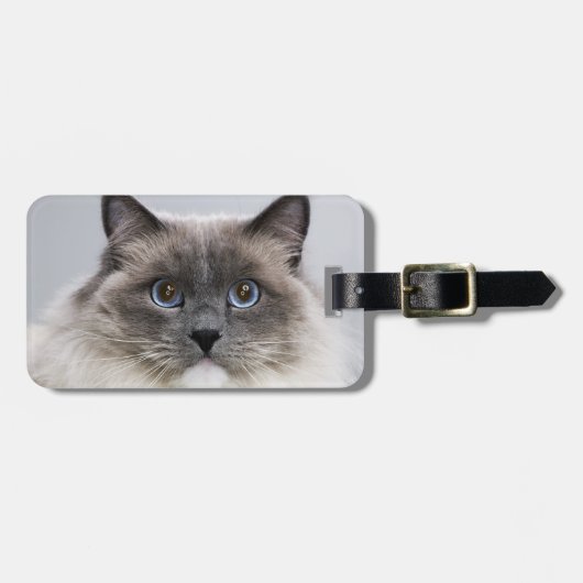 Étiquette À Bagage Portrait de chat de Ragdoll (Devant horizontal)