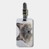 Étiquette À Bagage Portrait de chat de Ragdoll (Devant Vertical)