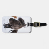 Étiquette À Bagage portrait de cheval islandais, Islande (Devant horizontal)