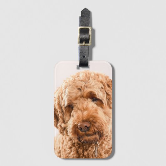 Étiquette À Bagage Portrait de Goldendoodle Studio (Devant Vertical)