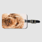 Étiquette À Bagage Portrait de Goldendoodle Studio (Devant Horizontal)