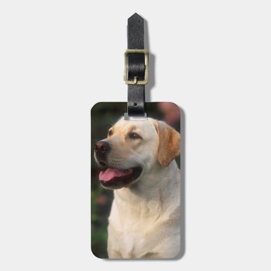 Étiquette À Bagage Portrait de labrador retriever, Hilton (Devant Vertical)