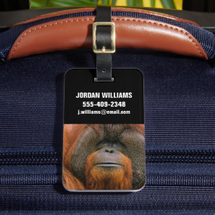 Étiquette À Bagage Portrait de mâle orang-outan, Géorgie, États-Unis