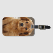 Étiquette À Bagage Portrait de marionnette (Devant Horizontal)