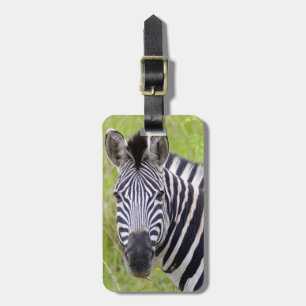 Étiquette À Bagage Portrait de Plains Zebra, Hluhluwe-Umfolozi Game
