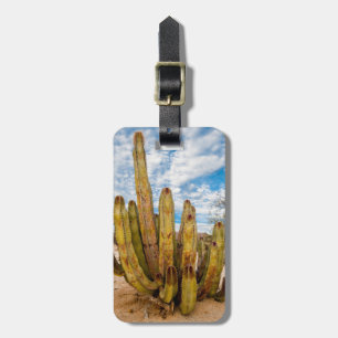 Étiquette À Bagage Portrait de vieux cactus, Mexique