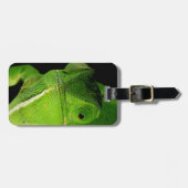 Étiquette À Bagage Portrait Du Chameleon À Cou-Volant (Devant horizontal)