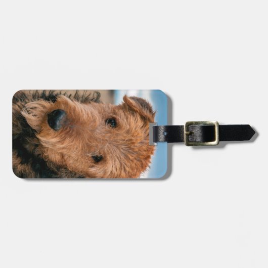 Étiquette À Bagage Portrait d'un Airedale Terrier (Devant horizontal)
