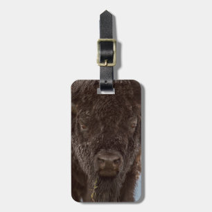 Étiquette À Bagage Portrait d'un bison mâle sous la pluie