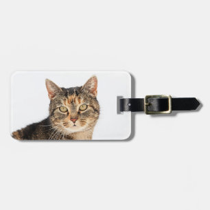 Étiquette À Bagage Portrait d'un chat