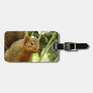 Étiquette À Bagage Portrait d'un écureuil Nature Animal Photographie