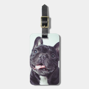Étiquette À Bagage Portrait d'un joyeux Bulldog français
