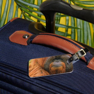 Étiquette À Bagage Portrait d'un orang-outan mâle, Géorgie, États-Uni