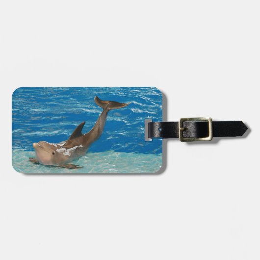 Étiquette À Bagage Pose de dauphin (Devant horizontal)