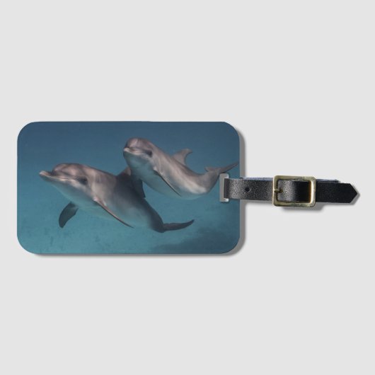 Étiquette À Bagage Pose espiègle (Devant Horizontal)