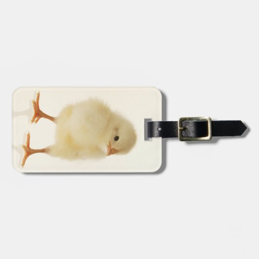 Étiquette À Bagage Poulet de bébé (Devant horizontal)