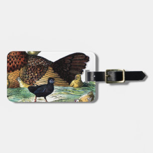 Étiquette À Bagage Poulets Animaux Vintages