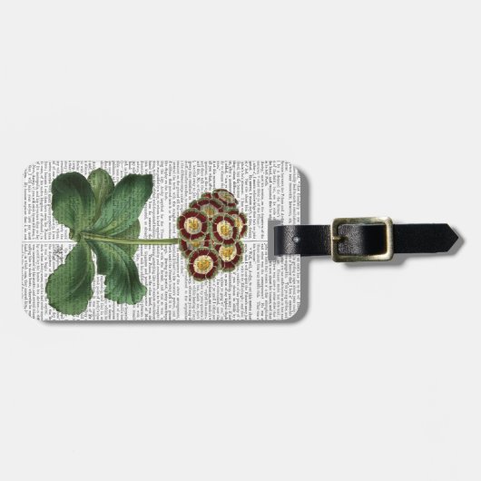 Étiquette À Bagage Primula Aurium Rouge (Devant horizontal)