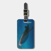 Étiquette À Bagage Profil d'un requin baleine, Indonésie (Devant Vertical)