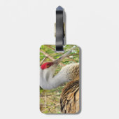 Étiquette À Bagage Profil élégant d'une grande grue de Sandhill (Dos Vertical)