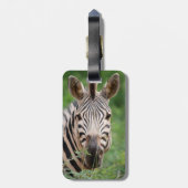 Étiquette À Bagage Profil Zebra (Dos Vertical)