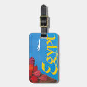 Étiquette À Bagage Publicité vintage Egypt Air Travel (Devant Vertical)