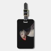 Étiquette À Bagage Puffin Atlantique en Machias, Maine (Devant Vertical)