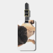 Étiquette À Bagage Pug (Devant Vertical)