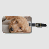 Étiquette À Bagage Puppy Pékin (Devant Horizontal)