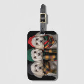 Étiquette À Bagage Pups de vacances (Devant Vertical)