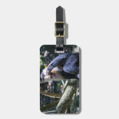 Étiquette À Bagage Pura vida pour singe capucin à visage blanc (Devant Vertical)