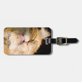 Étiquette À Bagage Pure Bliss | Maine Coon Modèle photo de gros plan (Devant horizontal)