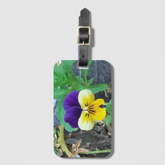 Étiquette À Bagage Purple et Yellow Pany (Devant Vertical)