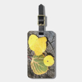 Étiquette À Bagage Quatre Aspen Feuille couleur automne photo (Devant Vertical)