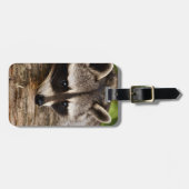 Étiquette À Bagage Raccoon mignon reposant sur un journal (Devant horizontal)