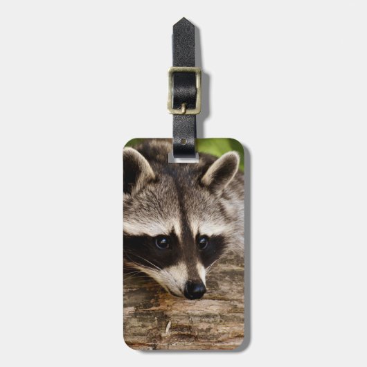 Étiquette À Bagage Raccoon mignon reposant sur un journal (Devant Vertical)