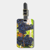 Étiquette À Bagage Raisins de cuve (Devant Vertical)